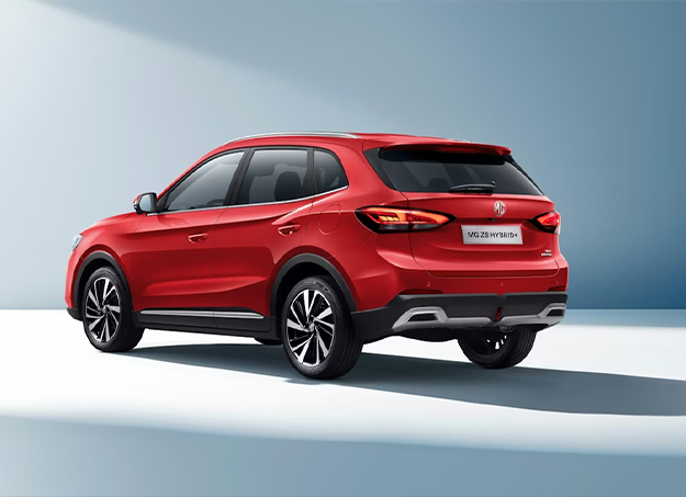 Amplitude-Auto-MG-ZS-Hybrid