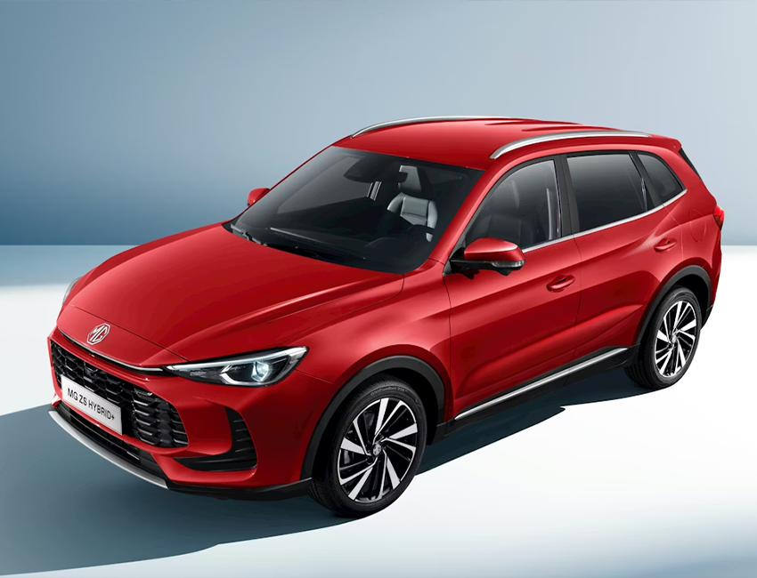 Amplitude-Auto-MG-ZS-Hybrid